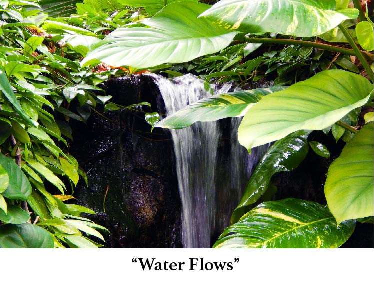 Water Flows